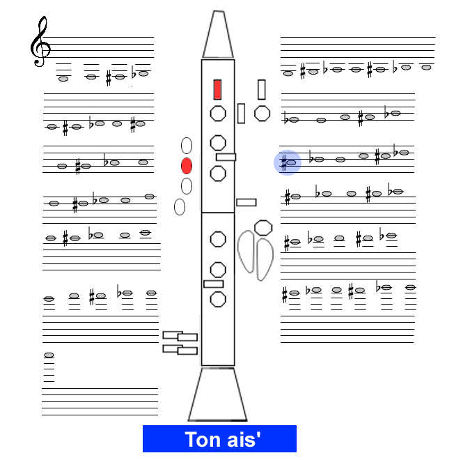 Ton ais1