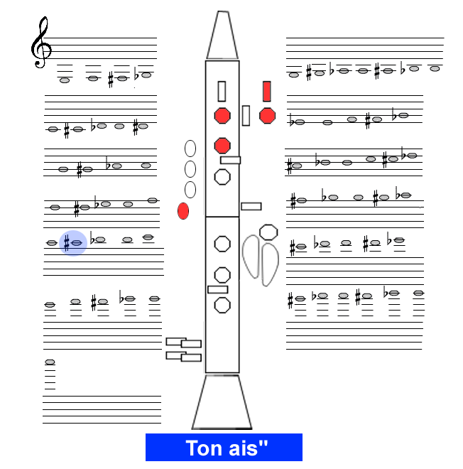 Ton ais2