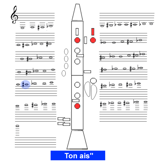 Ton ais2