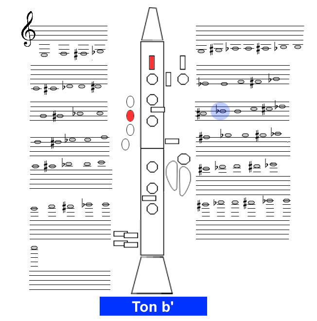 Ton b1