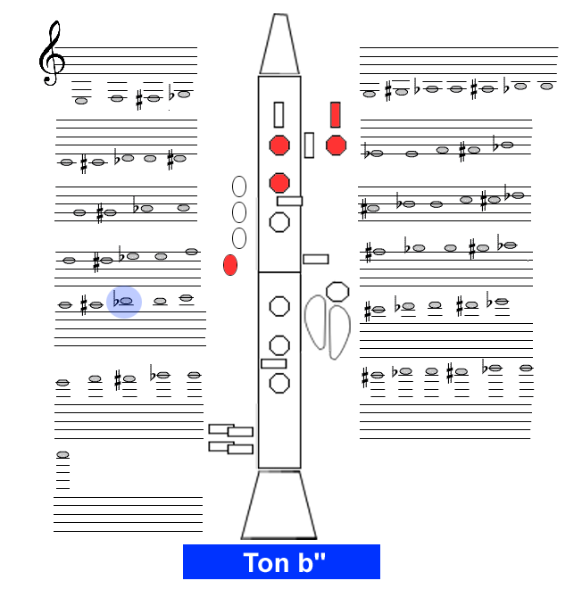 Ton b2