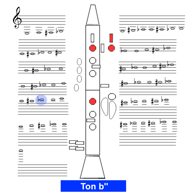 Ton b2