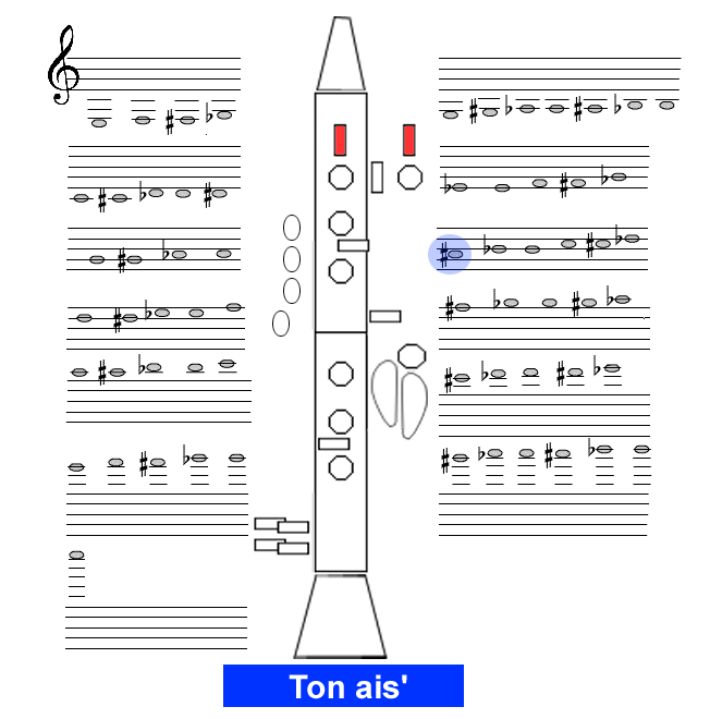 Ton ais1